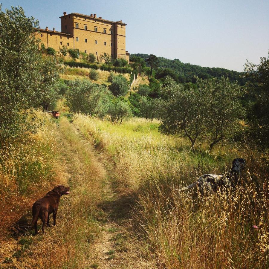 Castello Di Potentino Seggiano Exterior photo